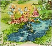 Copyright© Ann Mari Sjögren