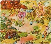 Copyright© Ann Mari Sjögren